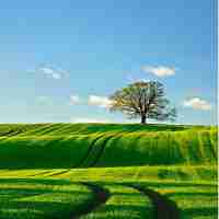 图‍像﻿识​别‌技﻿术‌原​理​详‌解​视‍频﻿